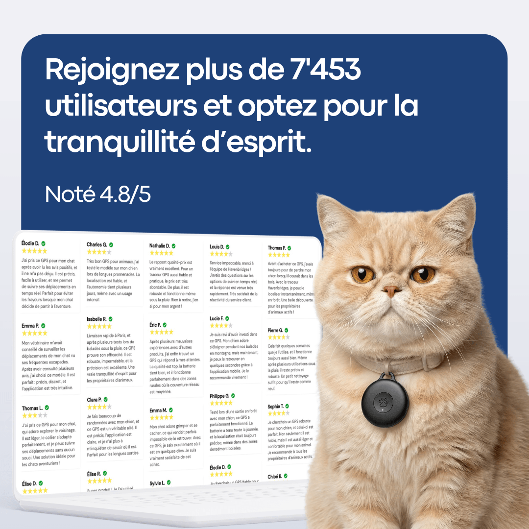GPS Pour Chat Sans Abonnement - Alpora