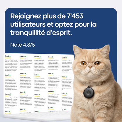 GPS Pour Chat Sans Abonnement - Alpora