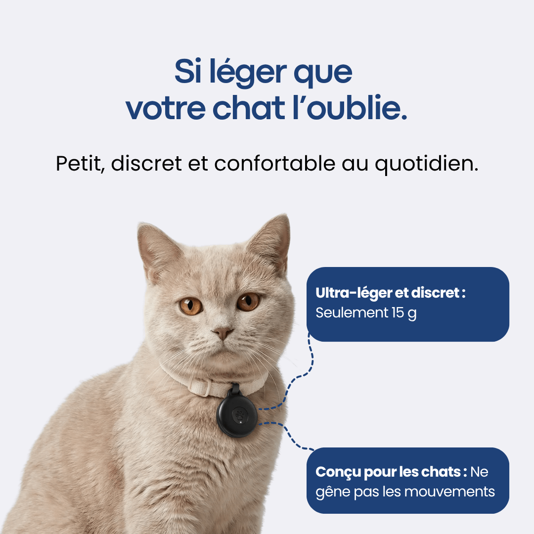 GPS Pour Chat Sans Abonnement - Alpora