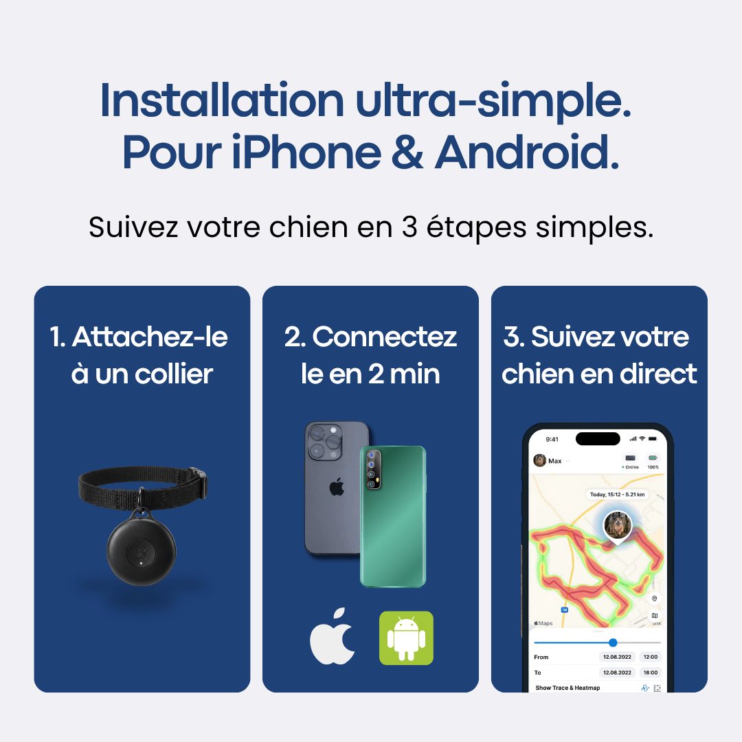Traceur GPS Chien sans Abonnement - Alpora