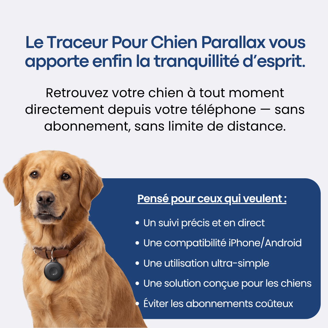 Traceur GPS Chien sans Abonnement - Alpora