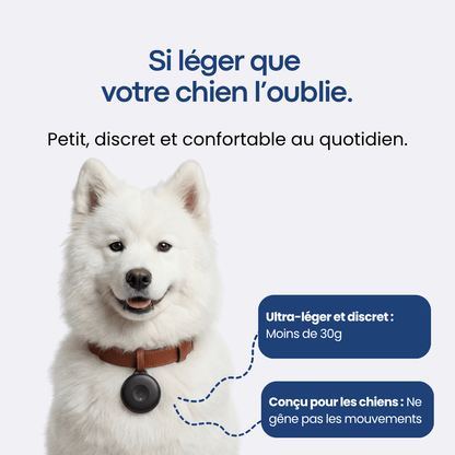 Traceur GPS Chien sans Abonnement - Alpora